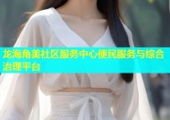 龙海角美社区服务中心便民服务与综合治理平台