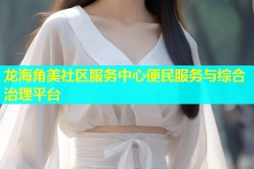 龙海角美社区服务中心便民服务与综合治理平台