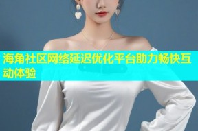 海角社区网络延迟优化平台助力畅快互动体验