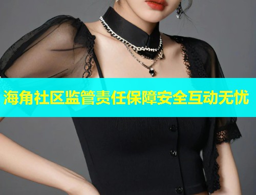 海角社区监管责任保障安全互动无忧 第1张 海角社区监管责任保障安全互动无忧 第1张